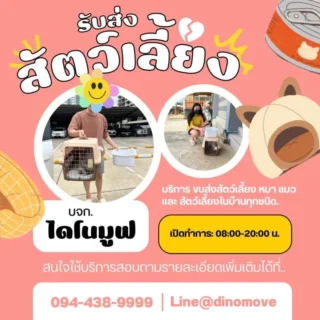 ขนส่งสัตว์เลี้ยง ส่งหมา ส่งแมว ทั่วประเทศ