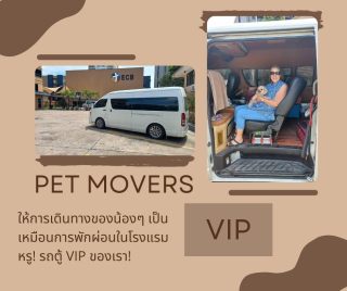 รถตู้ส่งสัตว์เลี้ยง