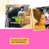 ส่งสุนัขไปต่างจังหวัด