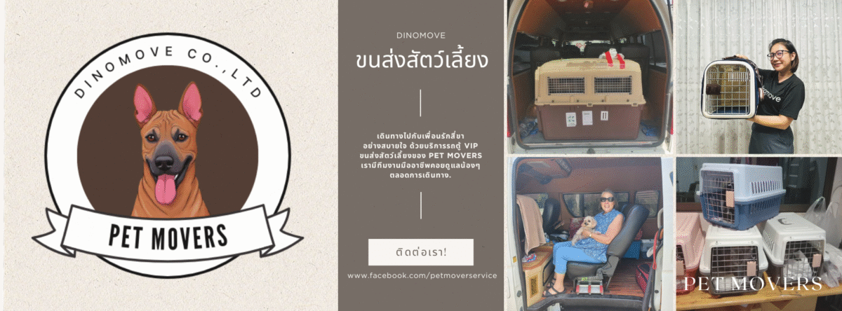 Pet-Transport-Services-1200x444.png