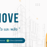 Dinomove – ขนส่งทุกสิ่งด้วยใจและพลัง!