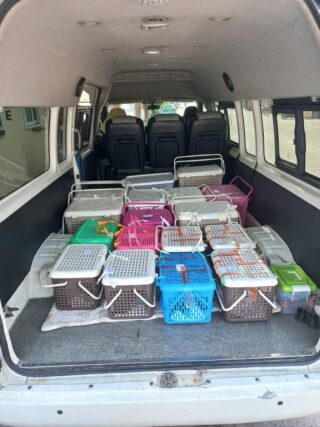 Pet Transport Van Service