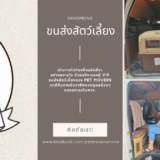 บริการรับ-ส่งสัตว์เลี้ยง หมา แมว ที่สนามบิน
