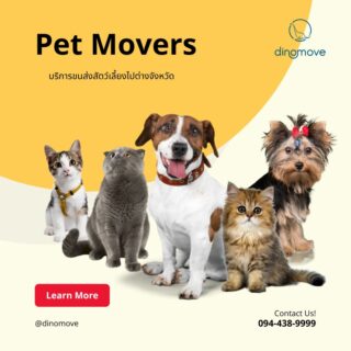 ส่งสัตว์เลี้ยง