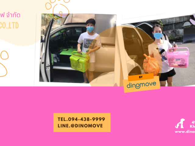 ส่งสัตว์เลี้ยง-ส่งหมา-ส่งแมว-ไปต่างจังหวัด-640x480.png