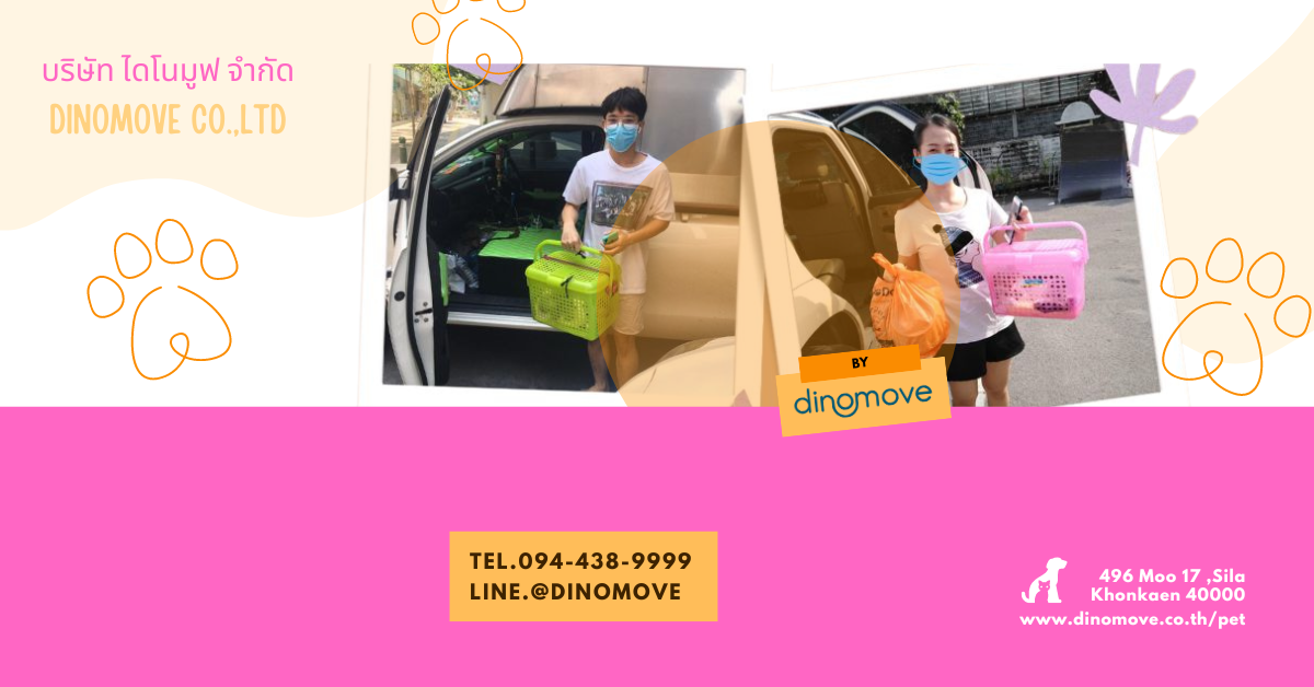 ส่งสัตว์เลี้ยง-ส่งหมา-ส่งแมว-ไปต่างจังหวัด.png