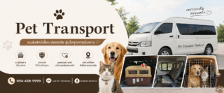 Pet Transport for Expats in Thailand