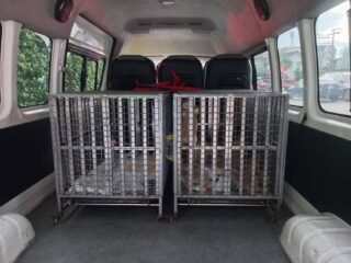 airport pet transfer thailand